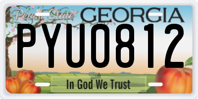 GA license plate PYU0812