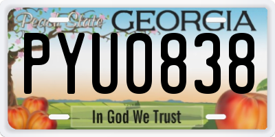 GA license plate PYU0838