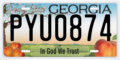 GA license plate PYU0874