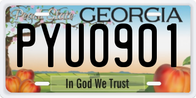GA license plate PYU0901