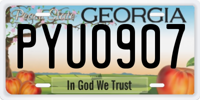 GA license plate PYU0907