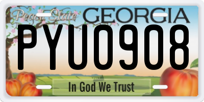 GA license plate PYU0908