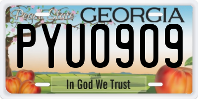GA license plate PYU0909