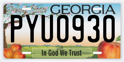 GA license plate PYU0930
