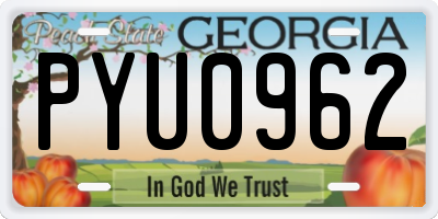 GA license plate PYU0962