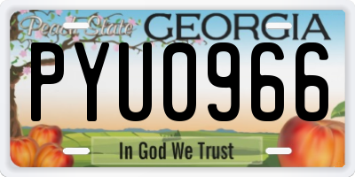 GA license plate PYU0966