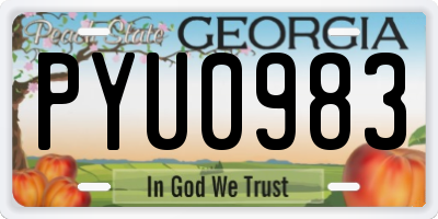 GA license plate PYU0983