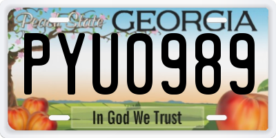 GA license plate PYU0989