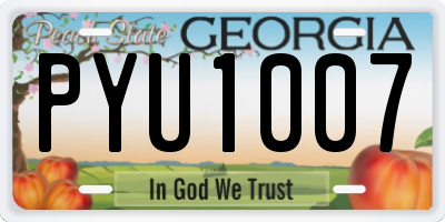 GA license plate PYU1007