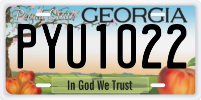 GA license plate PYU1022