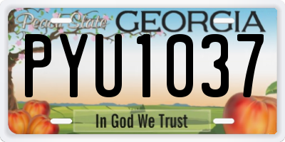 GA license plate PYU1037