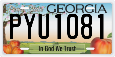 GA license plate PYU1081