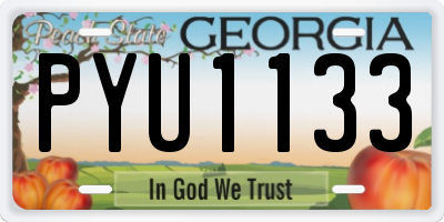 GA license plate PYU1133