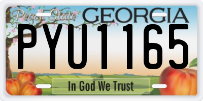 GA license plate PYU1165