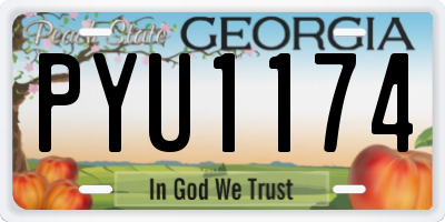 GA license plate PYU1174
