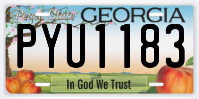 GA license plate PYU1183