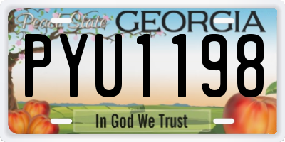 GA license plate PYU1198