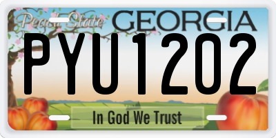 GA license plate PYU1202