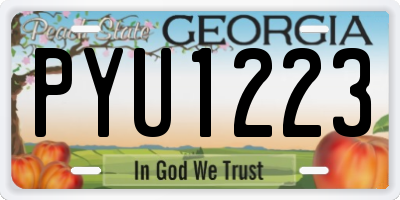 GA license plate PYU1223