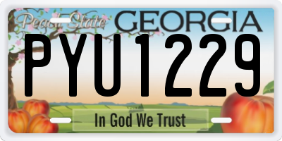 GA license plate PYU1229