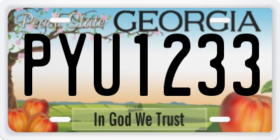 GA license plate PYU1233