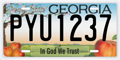 GA license plate PYU1237