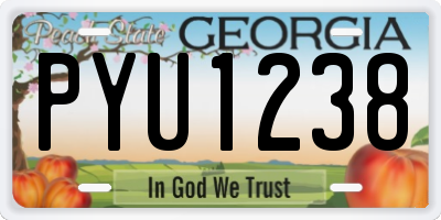 GA license plate PYU1238