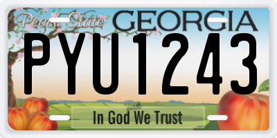GA license plate PYU1243
