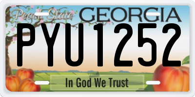 GA license plate PYU1252
