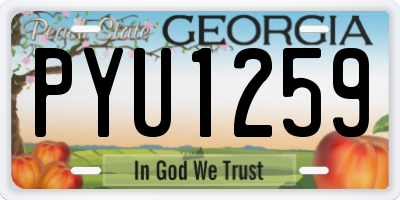 GA license plate PYU1259