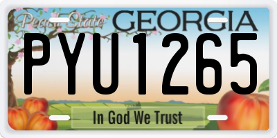 GA license plate PYU1265