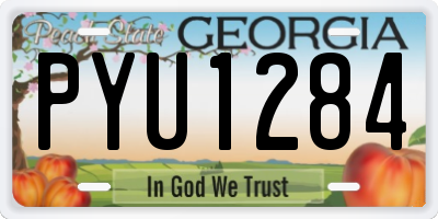 GA license plate PYU1284