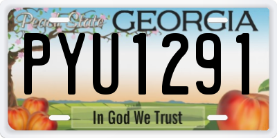 GA license plate PYU1291