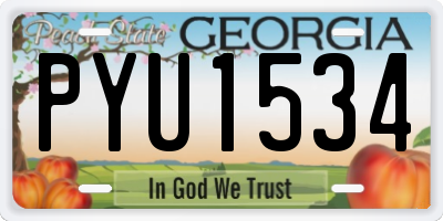 GA license plate PYU1534