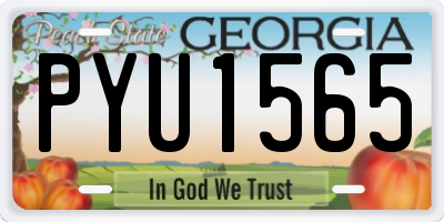 GA license plate PYU1565