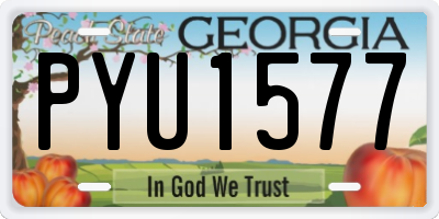 GA license plate PYU1577