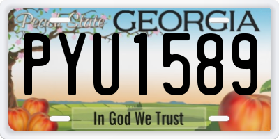 GA license plate PYU1589