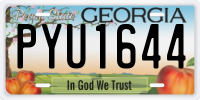GA license plate PYU1644
