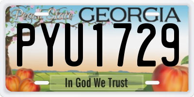 GA license plate PYU1729