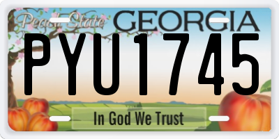 GA license plate PYU1745