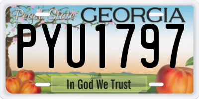 GA license plate PYU1797