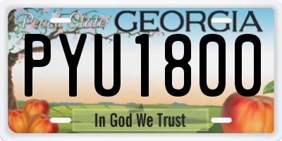GA license plate PYU1800