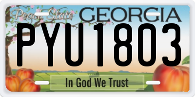 GA license plate PYU1803
