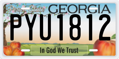 GA license plate PYU1812