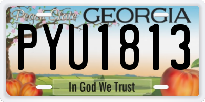 GA license plate PYU1813