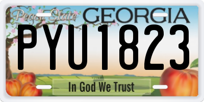 GA license plate PYU1823