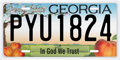 GA license plate PYU1824