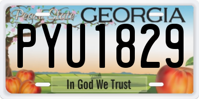 GA license plate PYU1829