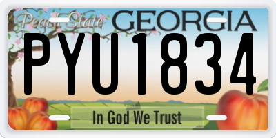 GA license plate PYU1834