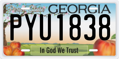 GA license plate PYU1838